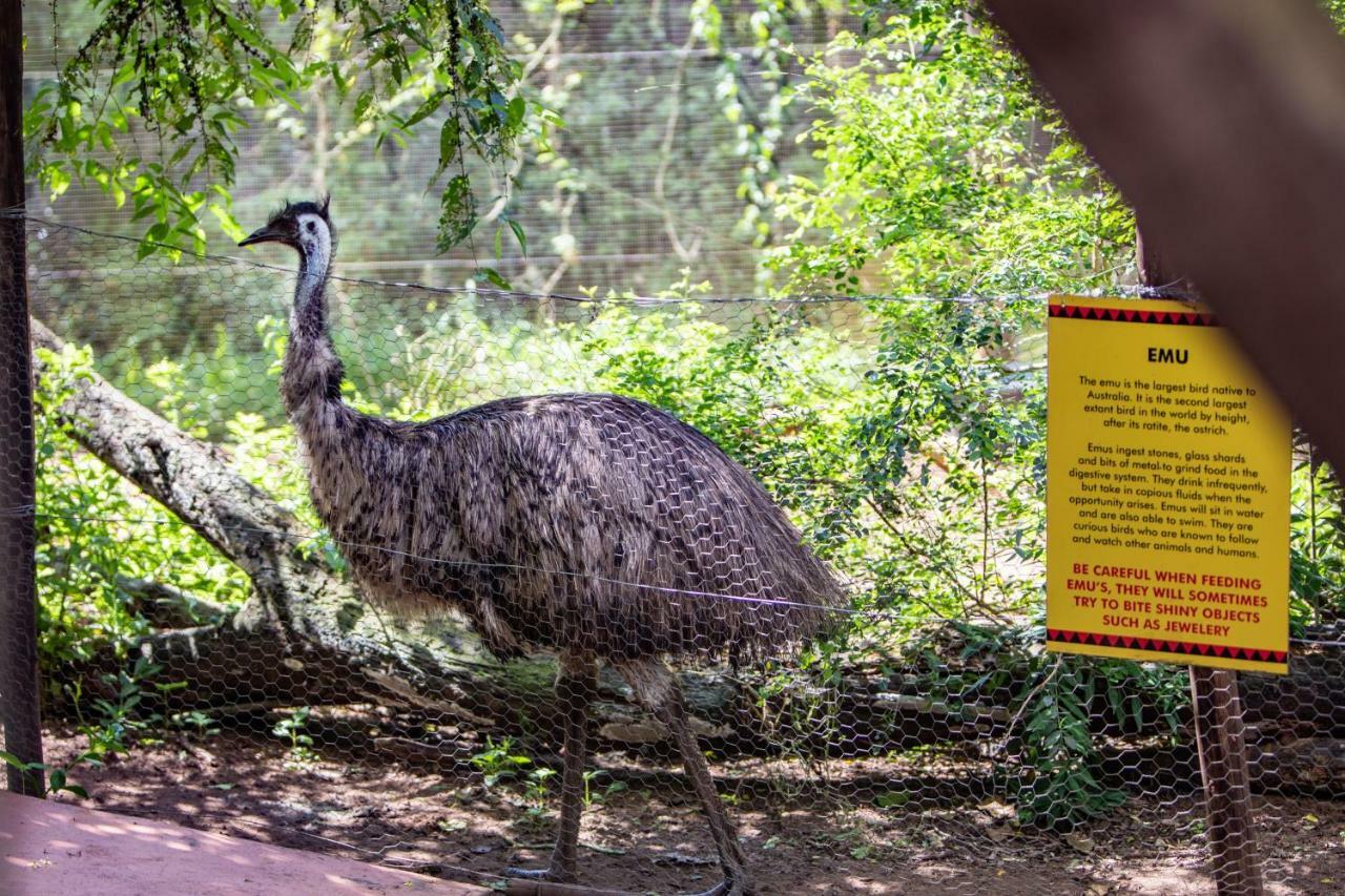 Gooderson Dumazulu Lodge Hluhluwe Εξωτερικό φωτογραφία